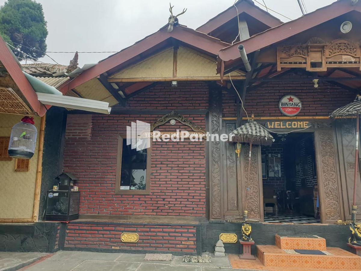 Hotel Yoschi'S Bromo At Desa Wisata Bromo Ngadisari Zewnętrze zdjęcie