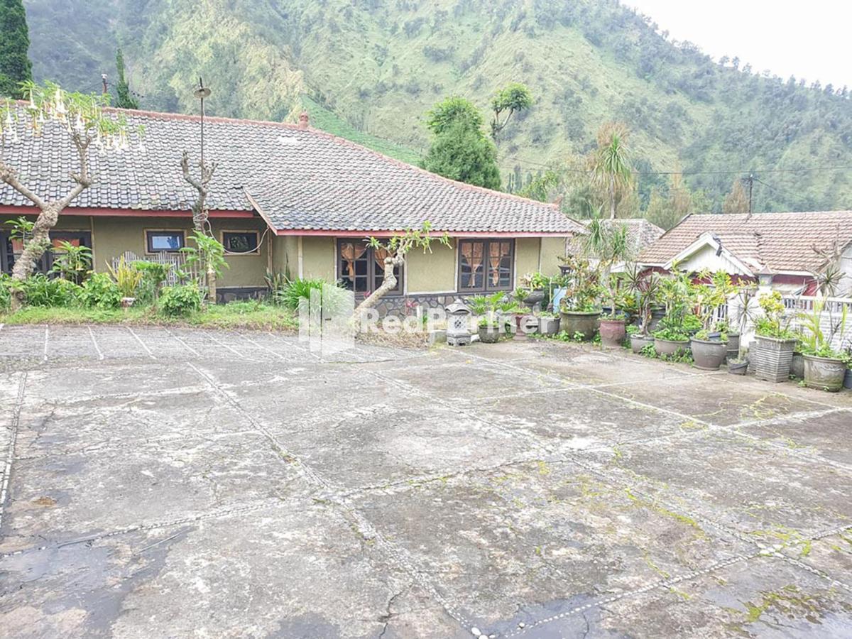 Hotel Yoschi'S Bromo At Desa Wisata Bromo Ngadisari Zewnętrze zdjęcie