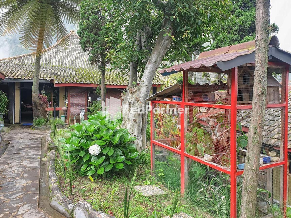 Hotel Yoschi'S Bromo At Desa Wisata Bromo Ngadisari Zewnętrze zdjęcie