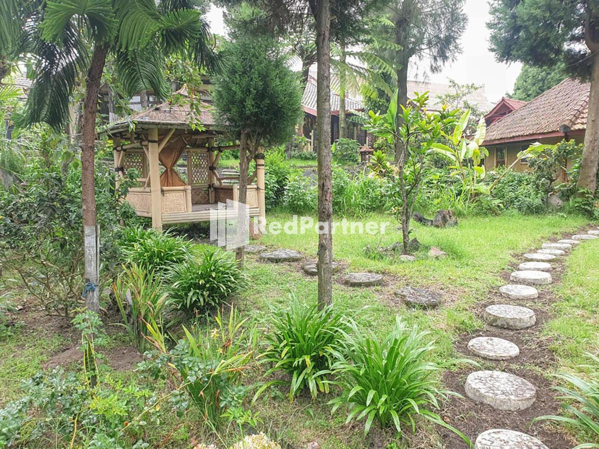 Hotel Yoschi'S Bromo At Desa Wisata Bromo Ngadisari Zewnętrze zdjęcie