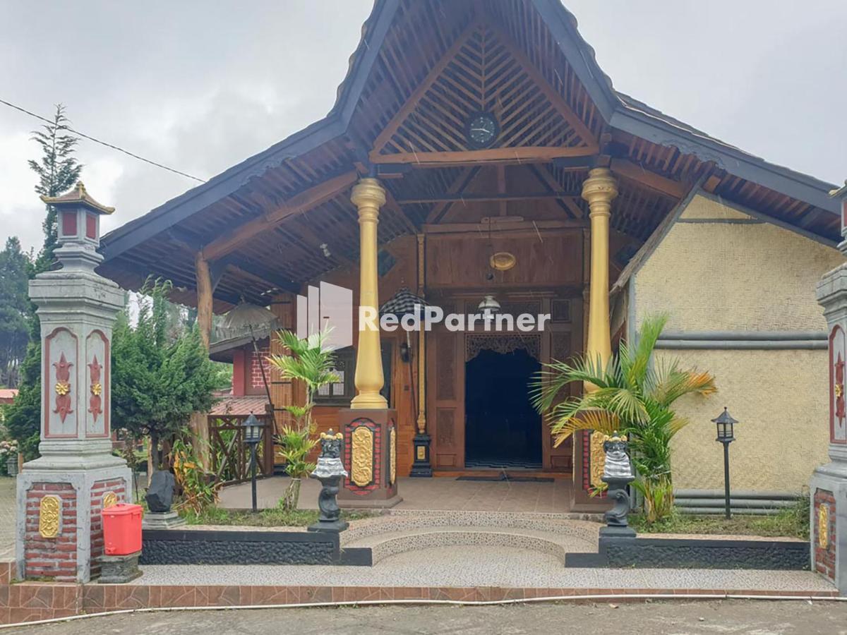 Hotel Yoschi'S Bromo At Desa Wisata Bromo Ngadisari Zewnętrze zdjęcie