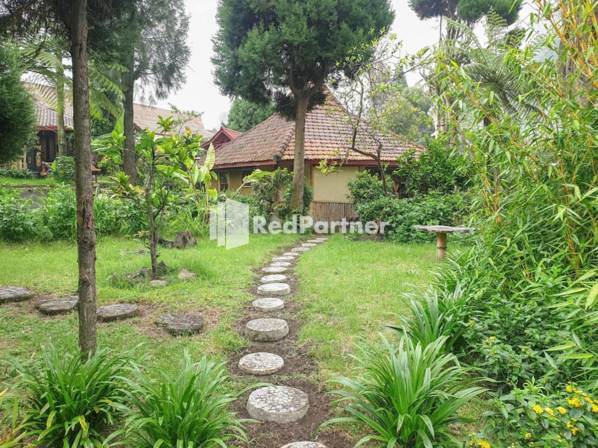 Hotel Yoschi'S Bromo At Desa Wisata Bromo Ngadisari Zewnętrze zdjęcie
